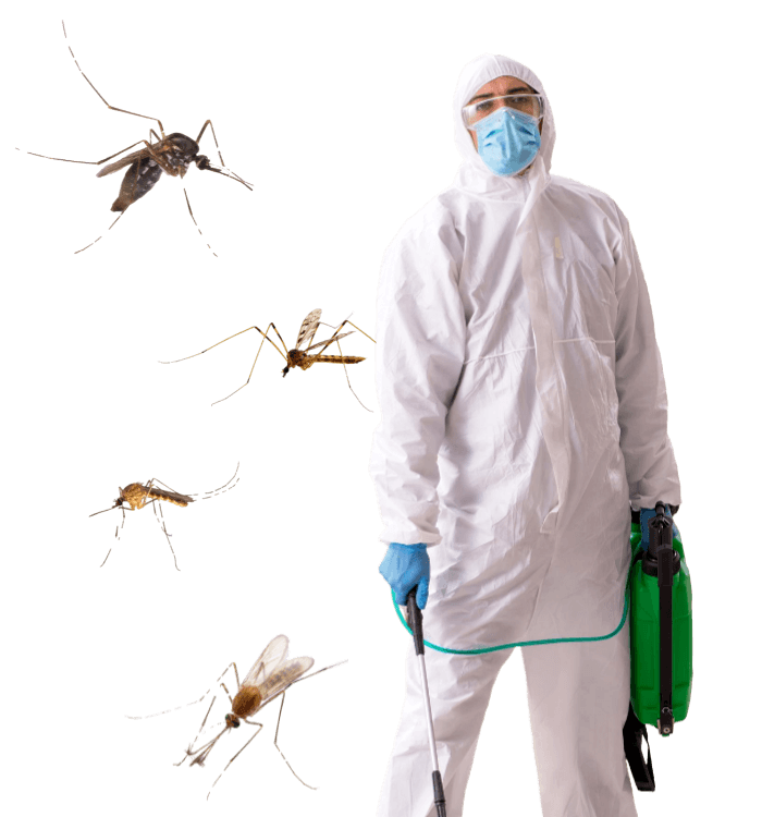 disinfestazione biologica zanzare cta