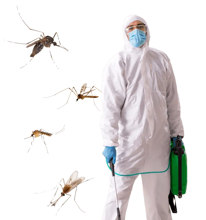 disinfestazione biologica zanzare cta